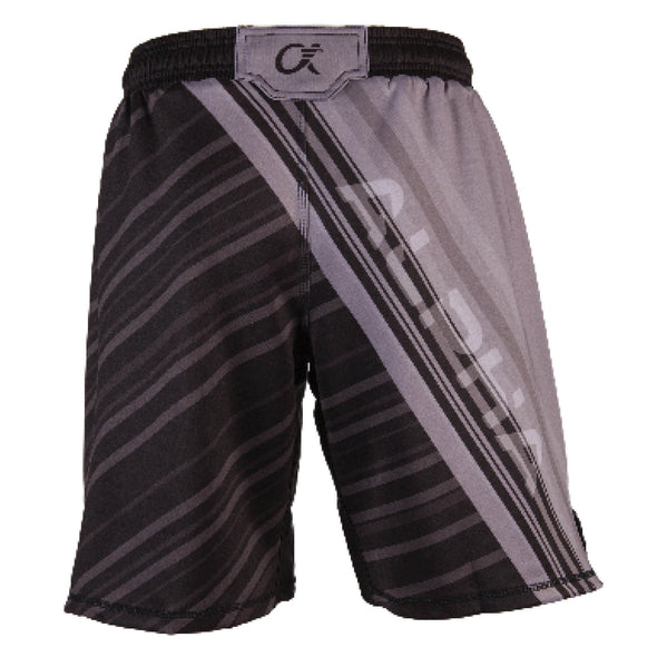Back of grey and black fighter shorts used for wrestling, diagonal lines with ALPHA written across back.